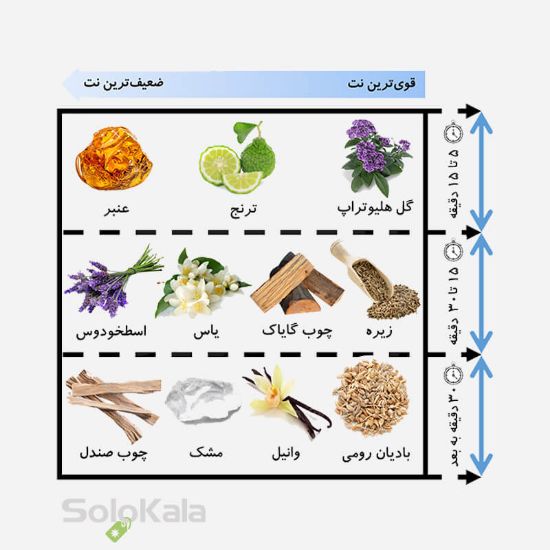 ادوپرفیوم مردانه ورسای مدل کاوالو CAVALLO