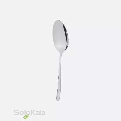 کفگیر استیل MGS مدل DF008 -نمای اصلی محصول