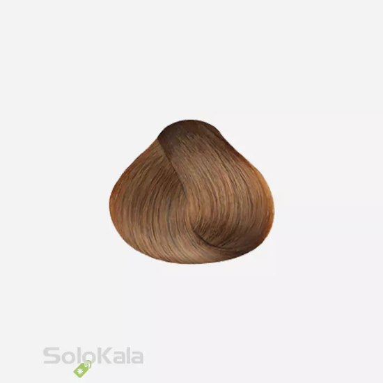 رنگ مو بلوند بژ روشن شماره 8.31 ویتامول - نمای نزدیک رنگ مو